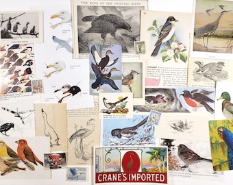 Mini BIRDS Ephemera Pack - Vintage Paper Ephemera - 25 pieces, Ephemera for junk journals, scrapbooking paper, nature journal, collage art