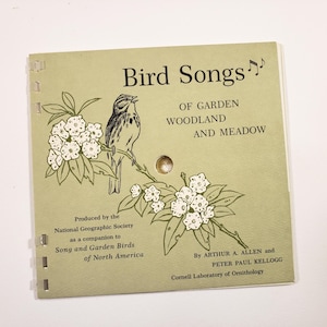 Cahier d'enregistrement de chants d'oiseaux, disques en plastique de chants d'oiseaux, éphémères vintage, journal indésirable, scrapbooking, journal nature, ornithologie