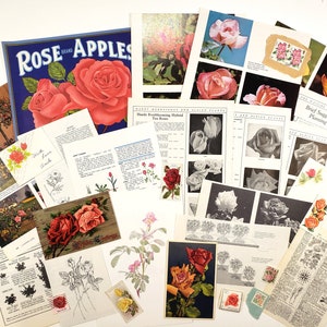 Lot d'éphémères en papier vintage ROSES - plus de 25 pièces, éphémères pour journaux indésirables, papier de scrapbooking, indésirable, printemps, fleurs, jardin, plantes