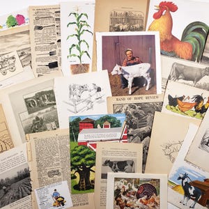 Thème FERME, illustrations vintage et éphémères, paquet de papier vintage, journaux indésirables, scrapbooking, fournitures artistiques pour collage, agriculture, élevage