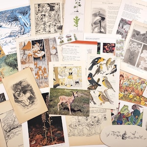 MAGIE DES BOIS, fées et nature, pack éphémères vintage, journaux indésirables, papier de scrapbooking, fournitures artistiques pour collage, cottagecore, fairycore