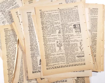 ヴィンテージ辞書ページ、イラスト入り、1950年代、古い紙、ヴィンテージのエフェメラ、ジャンクジャーナル、スクラップブッキング用品、コラージュアート、本のページ