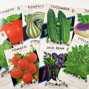 paquets de LÉGUMES vintage, VIDE, 8 différents, jardinage, printemps, éphémères en papier vintage, journal indésirable, collage d'art, fournitures de scrapbooking