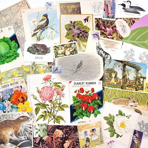 Mini paquet éphémère NATURE & PRINTEMPS - papier vintage, fleurs botaniques, animaux, journaux indésirables, papier de scrapbooking, fournitures d'art pour collage