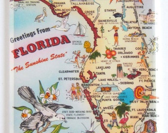 Petersburg Florida FRIDGE MAGNET travel souvenir /"style C/" Greetings from St