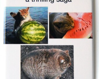 May include: A collage of three images featuring a tabby cat. The first image shows the cat standing on its hind legs, reaching for a green and yellow watermelon. The second image shows the cat's head and neck, with its face pressed against a red watermelon. The third image shows the cat lying on its side, with its fur a mix of brown and gray.