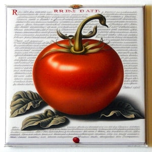 Red Tomato Fridge Magnet &quot;style A&quot;