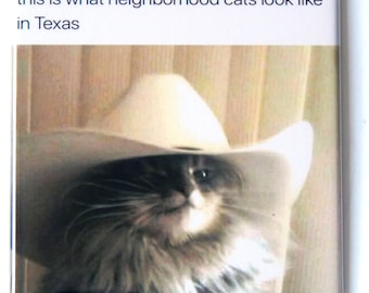 Puede incluir: Un gato gris y blanco con un sombrero de vaquero blanco. El texto "this is what neighborhood cats look like in Texas" está por encima del gato.