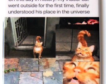 Puede incluir: Un meme humorístico con una foto de un gato tabby naranja mirando hacia arriba con asombro. El texto dice "On this day in history: my indoor cat went outside for the first time, finally understood his place in the universe."