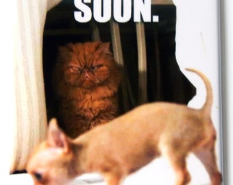 Puede incluir: Un perro chihuahua marrón y blanco mirando a un gato persa marrón con el texto "SOON." impreso encima de ellos.