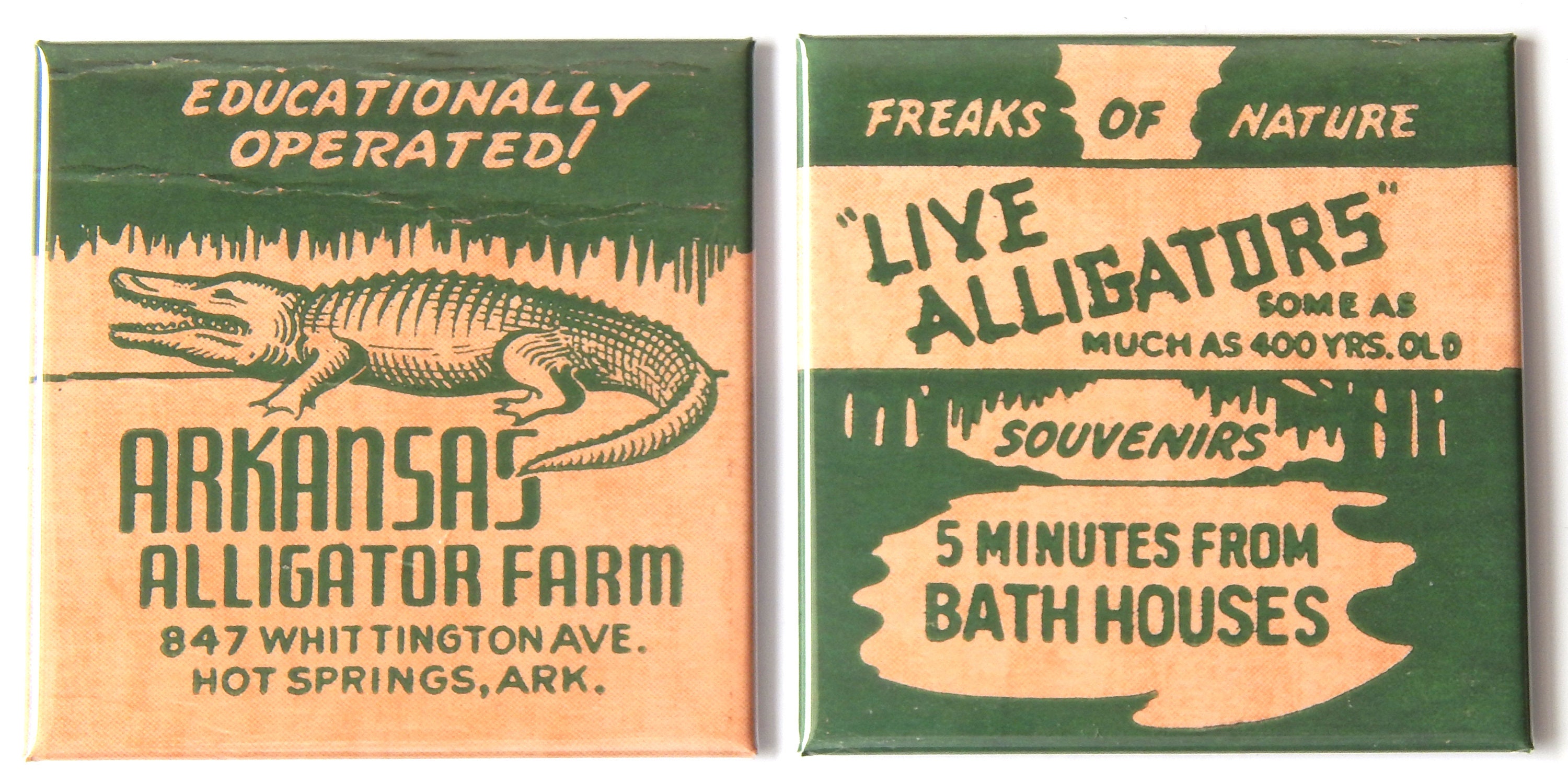 Arkansas Alligator Farm Fridge Magnet Set
