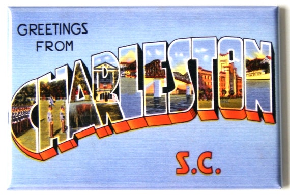 Greetings from South Carolina FRIDGE MAGNET travel souvenir 