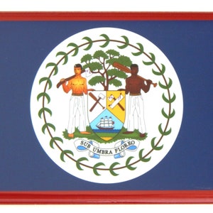 Flag of Belize Fridge Magnet