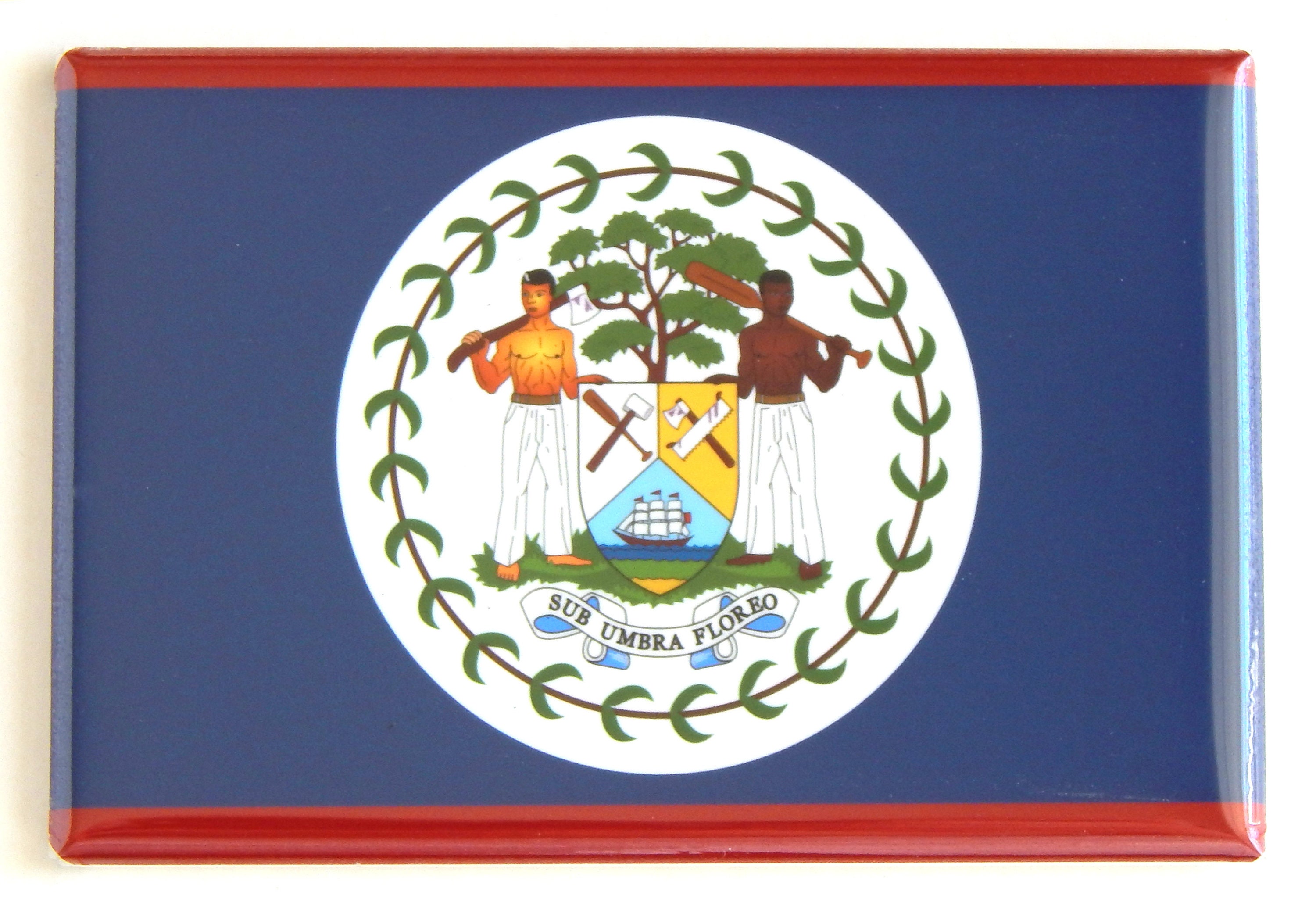 Flag of Belize Fridge Magnet