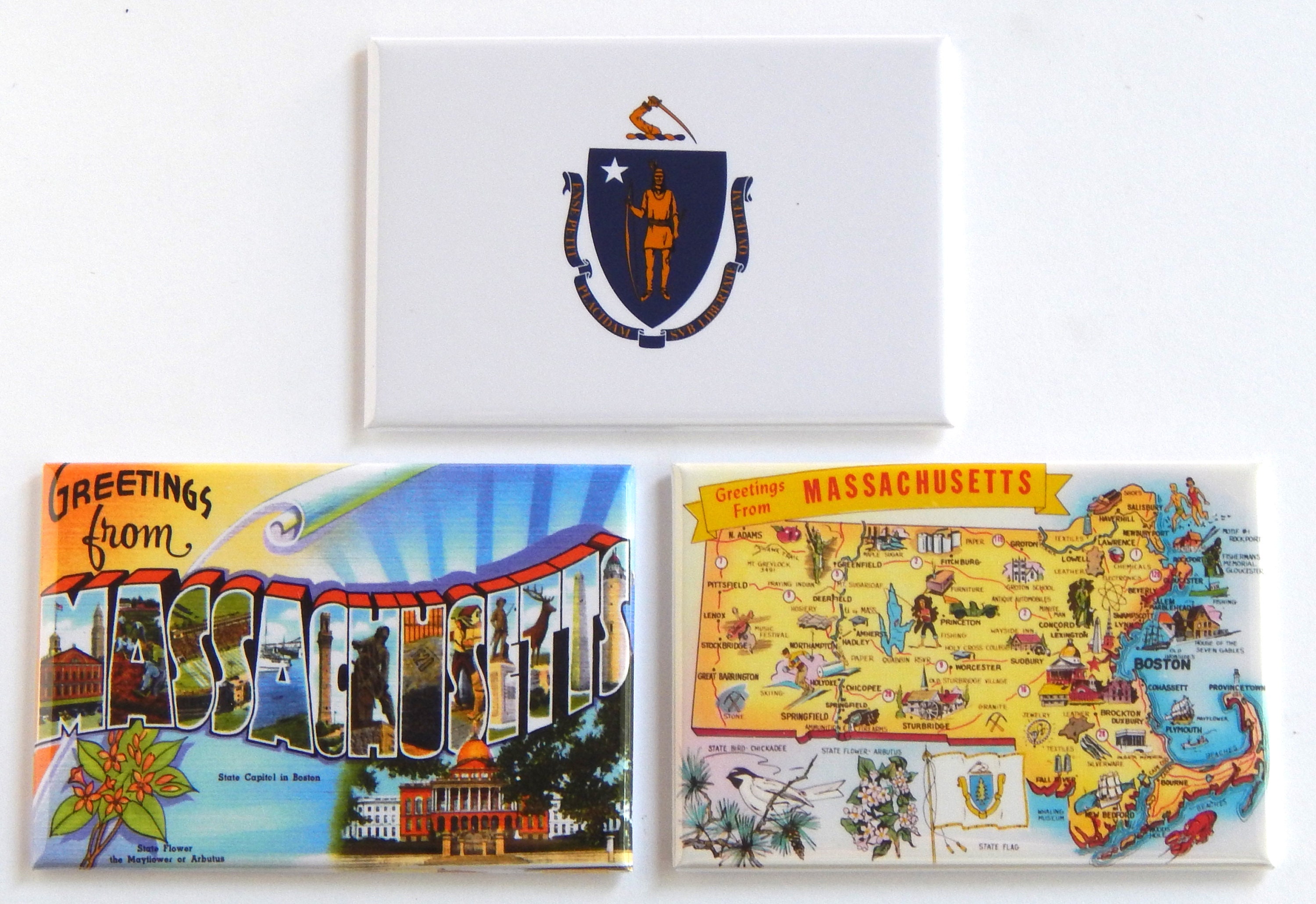 Boston Massachusetts United States Calamita Per Frigorifero 3d Souvenir Da Viaggio Decorazione Per