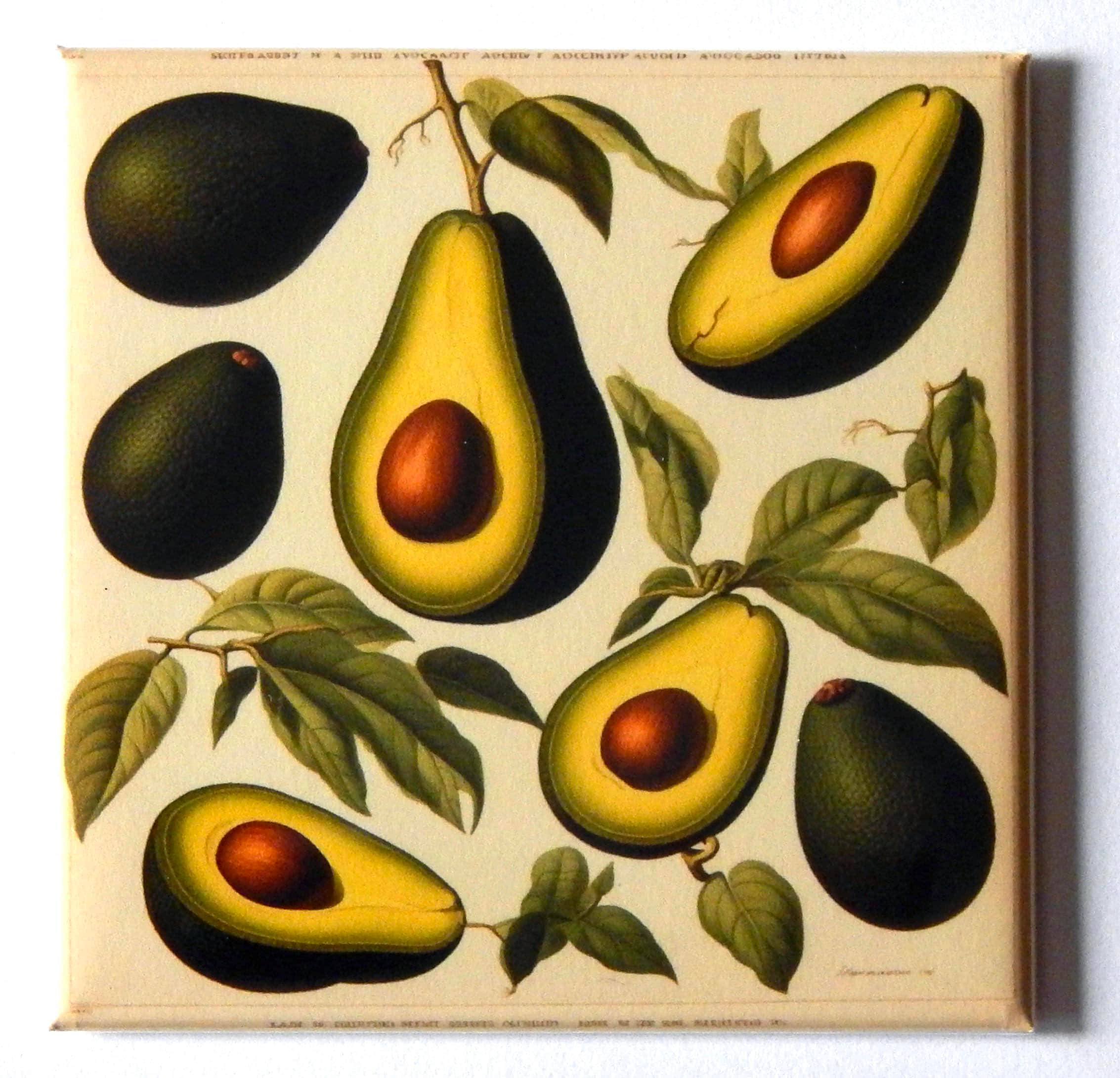 Magnete Da Frigorifero 3D A Forma Di Avocado, Fatto A Mano In Resina, 4,5x5,7 Cm, Decorazione Per Cucina, Ufficio, Idea Regalo Simpatica - 3