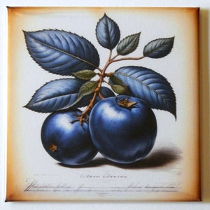 Blueberries Fridge Magnet &quot;style A&quot;