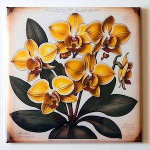 Yellow Orchids Fridge Magnet &quot;style A&quot;
