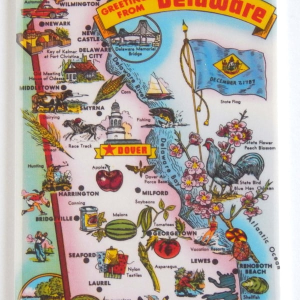 Greetings from Delaware Fridge Magnet (map)