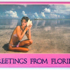 Greetings from Florida Fridge Magnet