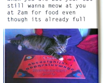 Gato Meme n.º 37 Imán para nevera