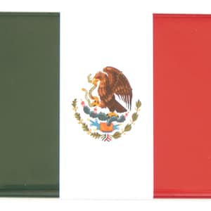 Flag of Mexico Fridge Magnet