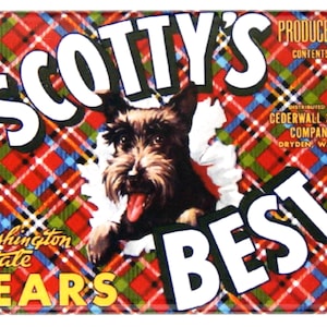 Scottish Terrier Pears Fridge Magnet