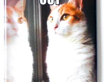 Puede incluir: Un gato blanco y naranja mira por una ventana con el texto "Quiero salir pero también quiero quedarme".