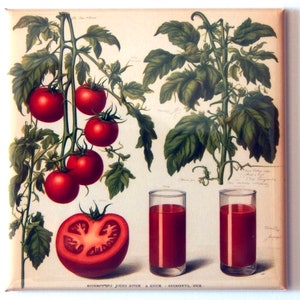 Tomato Juice Fridge Magnet &quot;style C&quot;