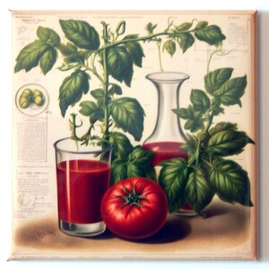 Tomatensaft-Kühlschrankmagnet &quot;Style D&quot;