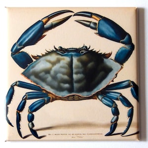 Blue Crab Fridge Magnet &quot;style E&quot;