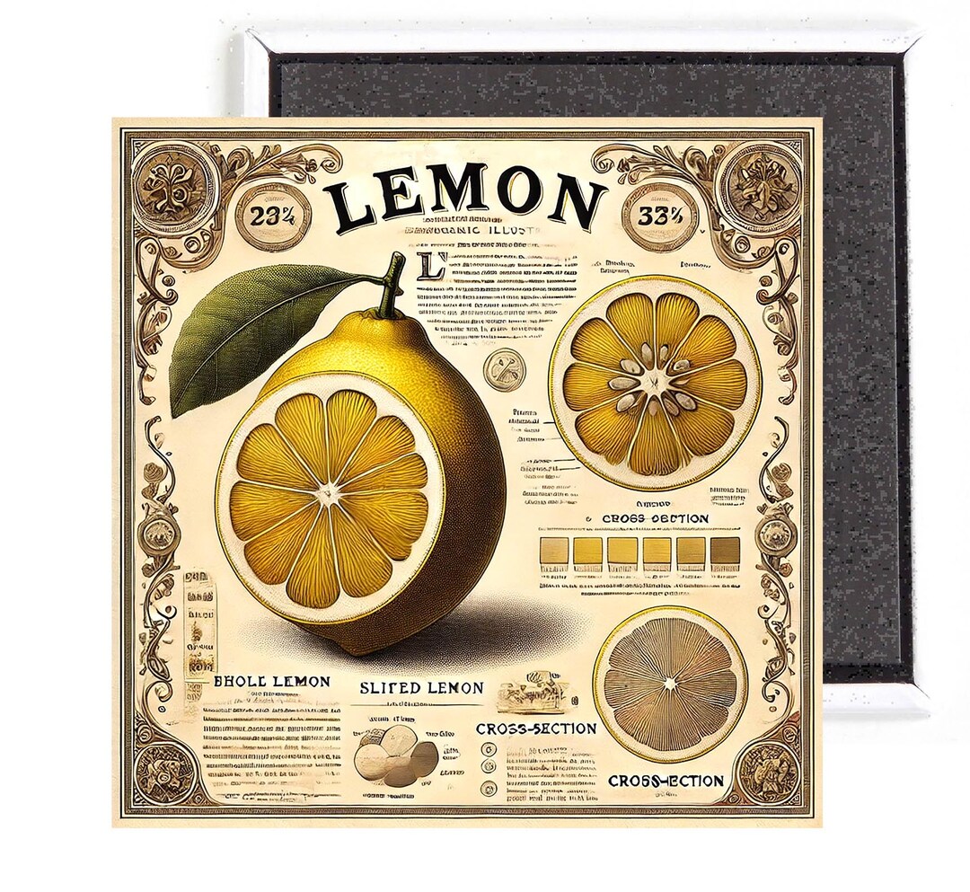 Lemon Sign Fridge Magnet - Etsy