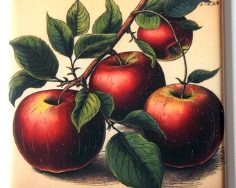 Red Apple Fridge Magnet "style F"