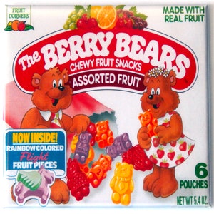 Bear Fruit Snacks Box Fridge Magnet