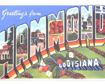 Greetings from Hammond Louisiana Fridge Magnet