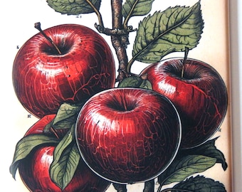 Red Apple Fridge Magnet "style E"