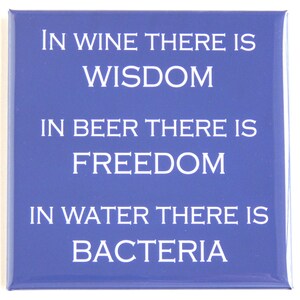 Funny Alcohol Quote Fridge Magnet #33