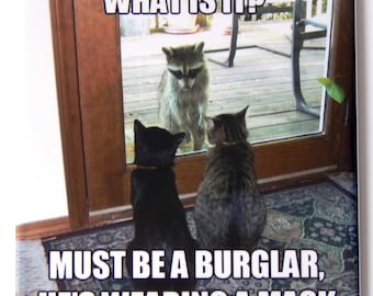 Puede incluir: Un meme humorístico con dos gatos mirando a un mapache a través de una puerta de vidrio. El texto dice "What is it? Must be a burglar, he's wearing a mask."