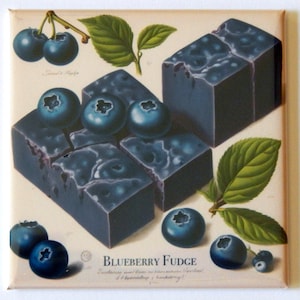 Blueberry Fudge Fridge Magnet &quot;style A&quot;