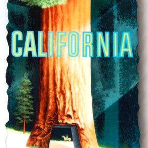 California Redwoods Travel Poster Fridge Magnet (wood style)