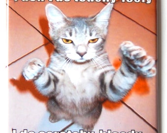 Puede incluir: Un gato atigrado gris con ojos amarillos se para sobre sus patas traseras con las patas levantadas en el aire. El gato tiene una expresión seria en su rostro. La imagen es un meme con el texto "No hago cariños, hago arañazos sangrientos".