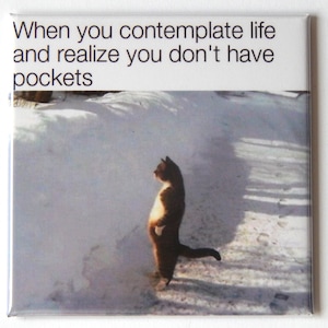 Cat Meme #18 Fridge Magnet