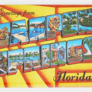 Greetings from Tarpon Springs Florida Fridge Magnet