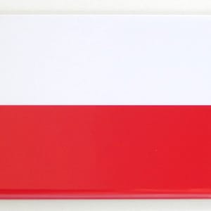 Vlag van Polen koelkastmagneet