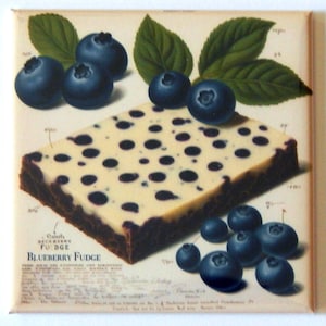May include: A vintage-style illustration of blueberry fudge. The dessert features a dark brown base topped with a creamy white layer dotted with dark blue blueberries. Fresh blueberries and green leaves are scattered around the fudge, with the words "Blueberry Fudge" visible.