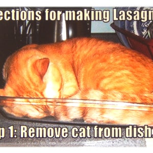 May include: A rectangular magnet featuring the text "Directions for making Lasagna" and "Step 1: Remove cat from dish...". The image shows an orange tabby cat curled up in a clear glass baking dish.