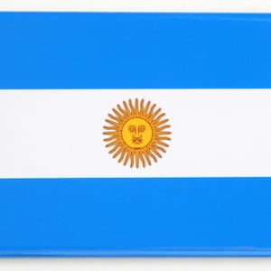 Flag of Argentina Fridge Magnet