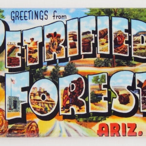 Greetings from Petrified Forest Arizona Fridge Magnet
