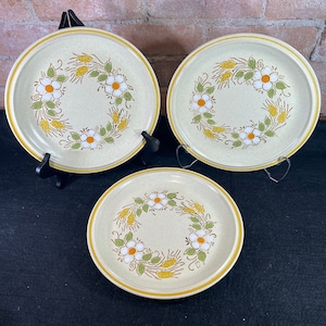 Vintage Hearthside Garden Festival Handpainted Stoneware Dinner Plates x 3 Prairie Flower Design
