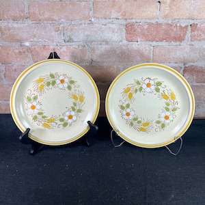 Vintage Hearthside Garden Festival Handpainted Stoneware Dinner Plates x 2 Prairie Flower Design 10.5&quot;